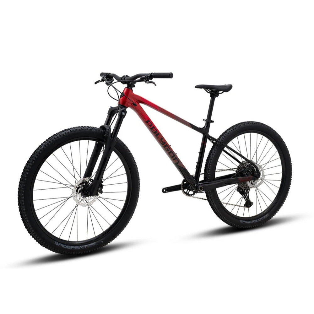 אופני הרים זנב קשיח פוליגון Polygon Xtrada 6