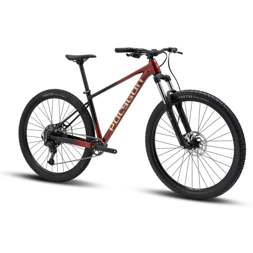 אופני הרים זנב קשיח פוליגון Polygon Xtrada 5