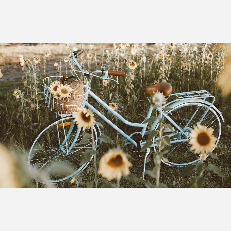 אופני עיר וינטאג' לנשים Reid Ladies Classic