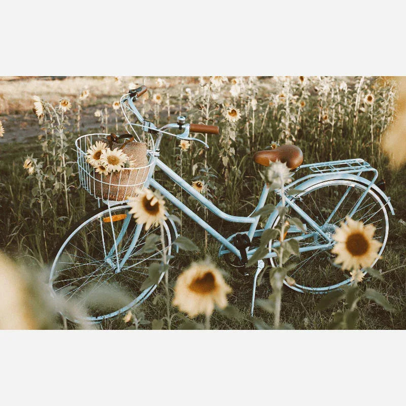 אופני עיר וינטאג' לנשים Reid Ladies Classic - Bikes Online