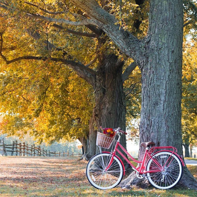 אופני עיר וינטאג' לנשים Reid Ladies Classic - Bikes Online