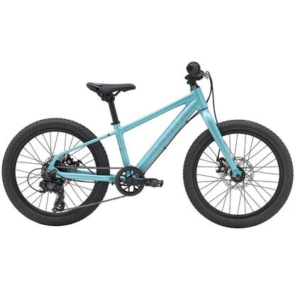 אופני הרים לילדים "20 Marin Bayview Trail