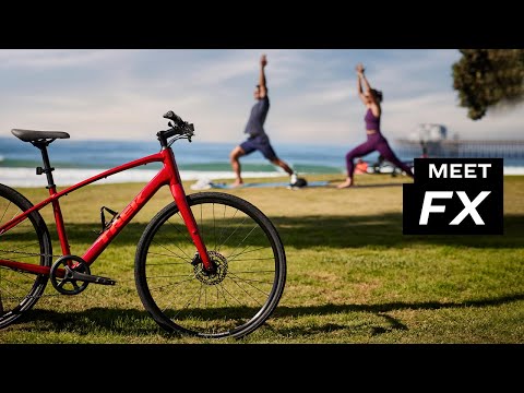 אופני עיר היברידיים טרק Trek FX 3 Disc Gen 4 2024-5