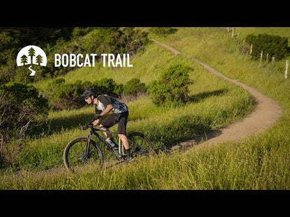 אופני הרים זנב קשיח 2025 Marin Bobcat 3